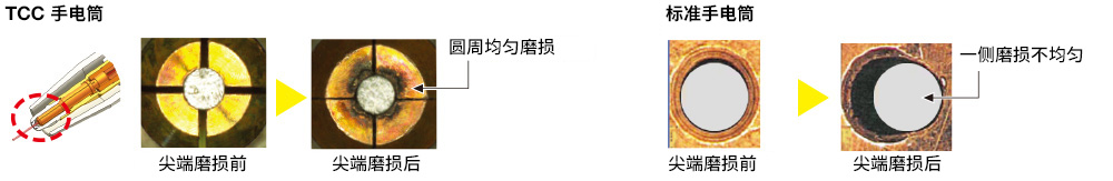 TCC 手电筒 标准手电筒