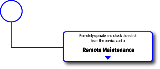 Remote Maintenance